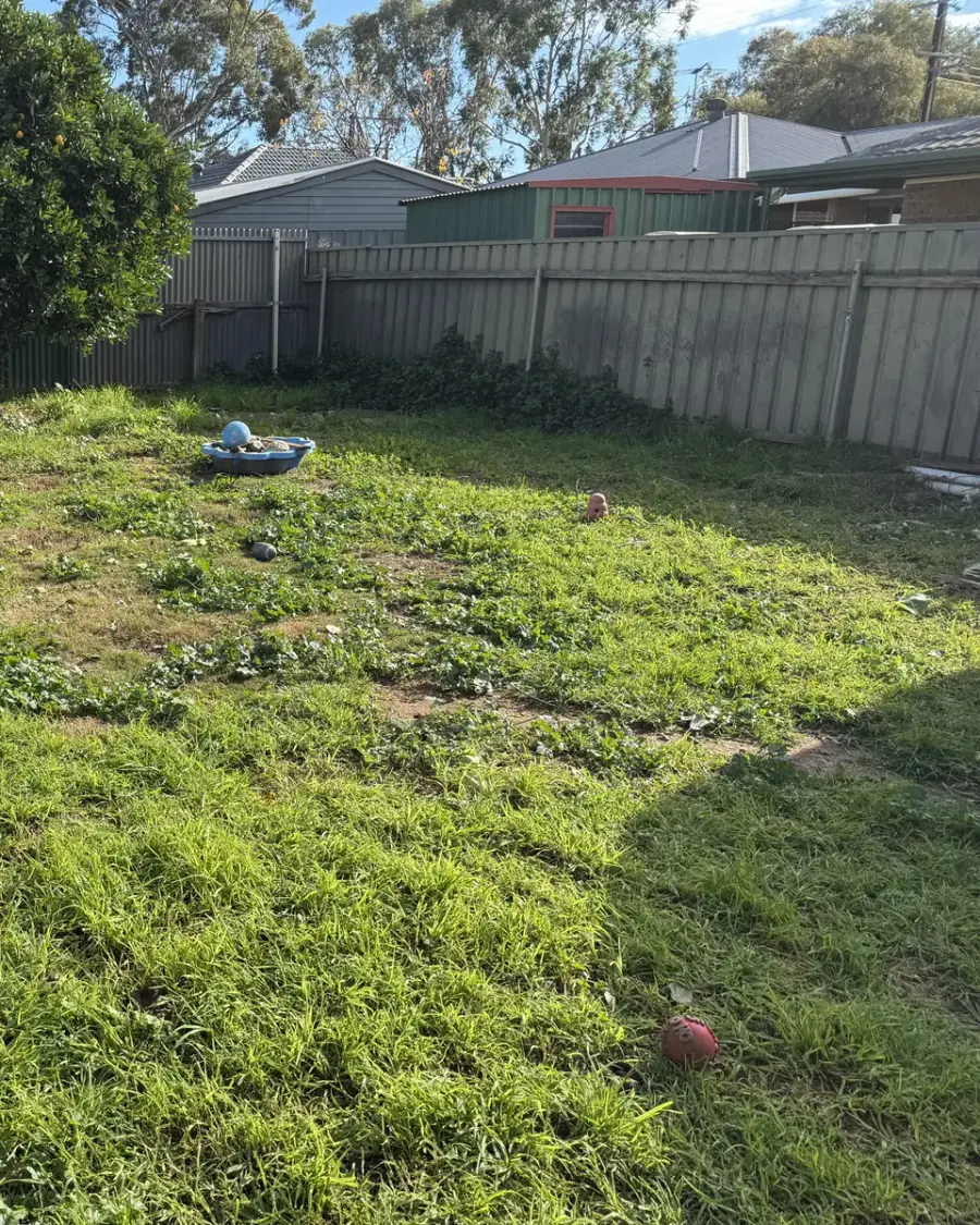 After: Backyard lawn cleared of green waste along the fence line