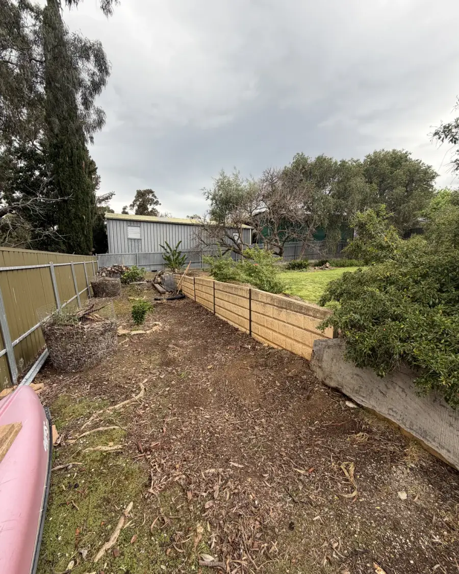 After: Garden bed cleared of branches along the fence line