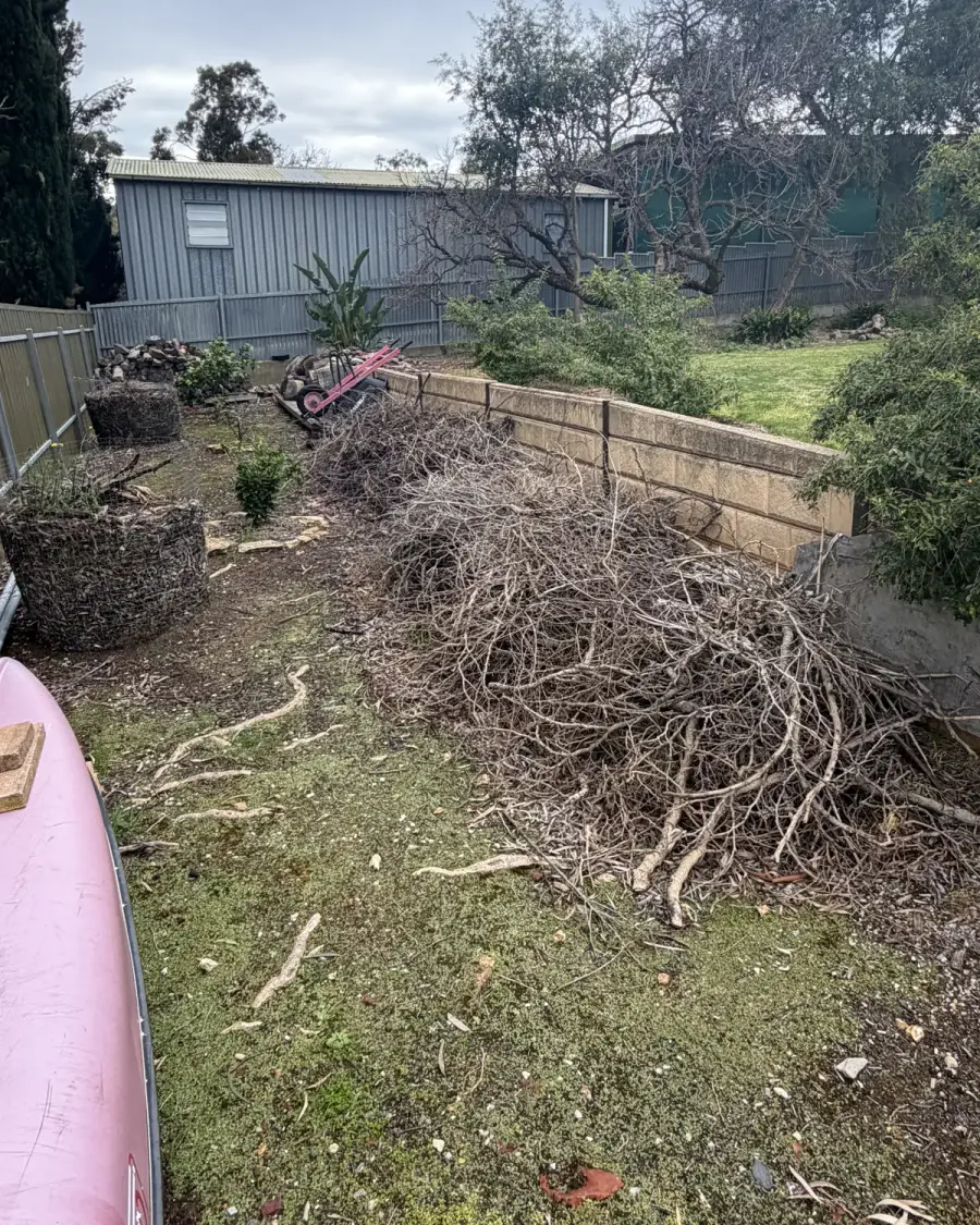 Before: Piles of cut branches in a garden bed along a timber fence