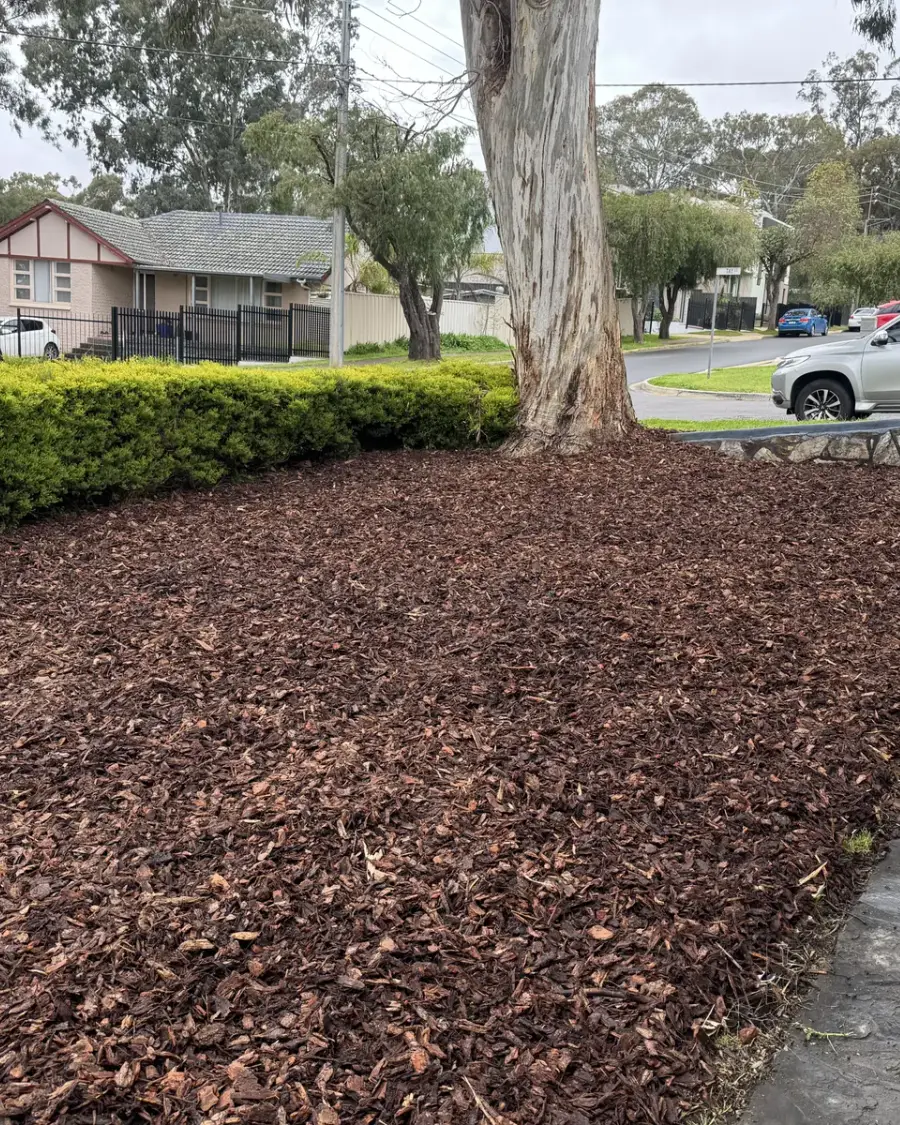 After: Front garden bed covered in fresh mulch