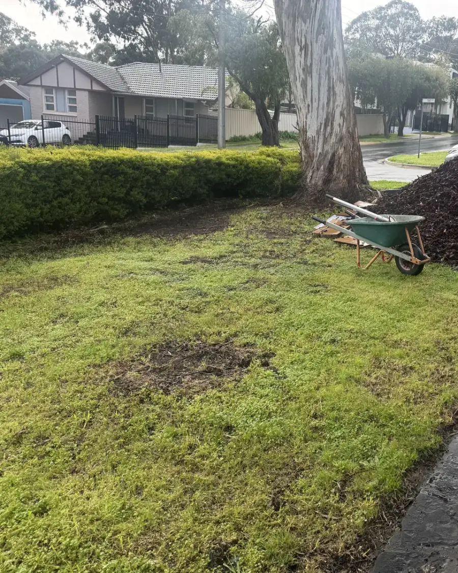 Before: Patchy front garden with a wheelbarrow and a pile of mulch