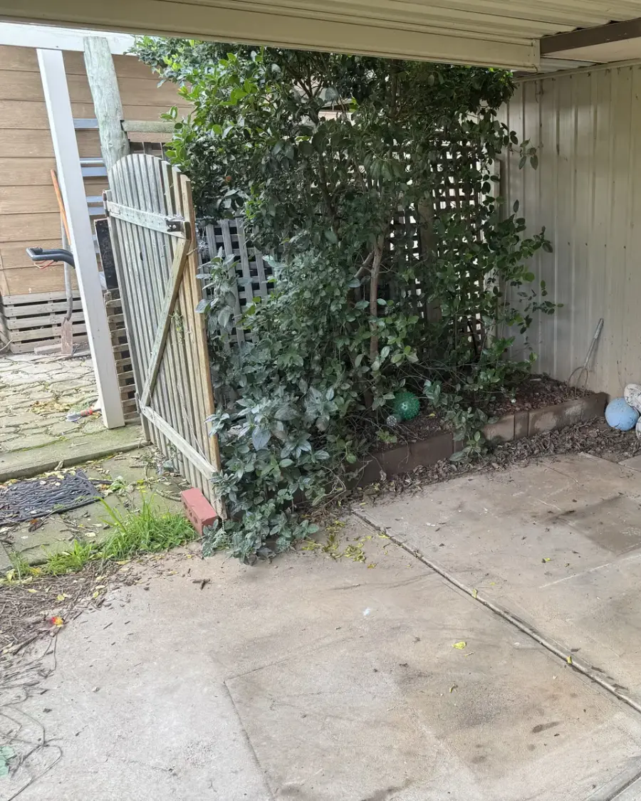 After: Patio cleared of the old kitchen cabinetry